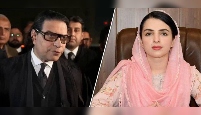 بتادو سب کو میری سازش، سلمان اکرم راجا اور مشال یوسفزئی کی مبینہ آڈیو لیک ہوگئی